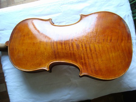 kol.sch. viola